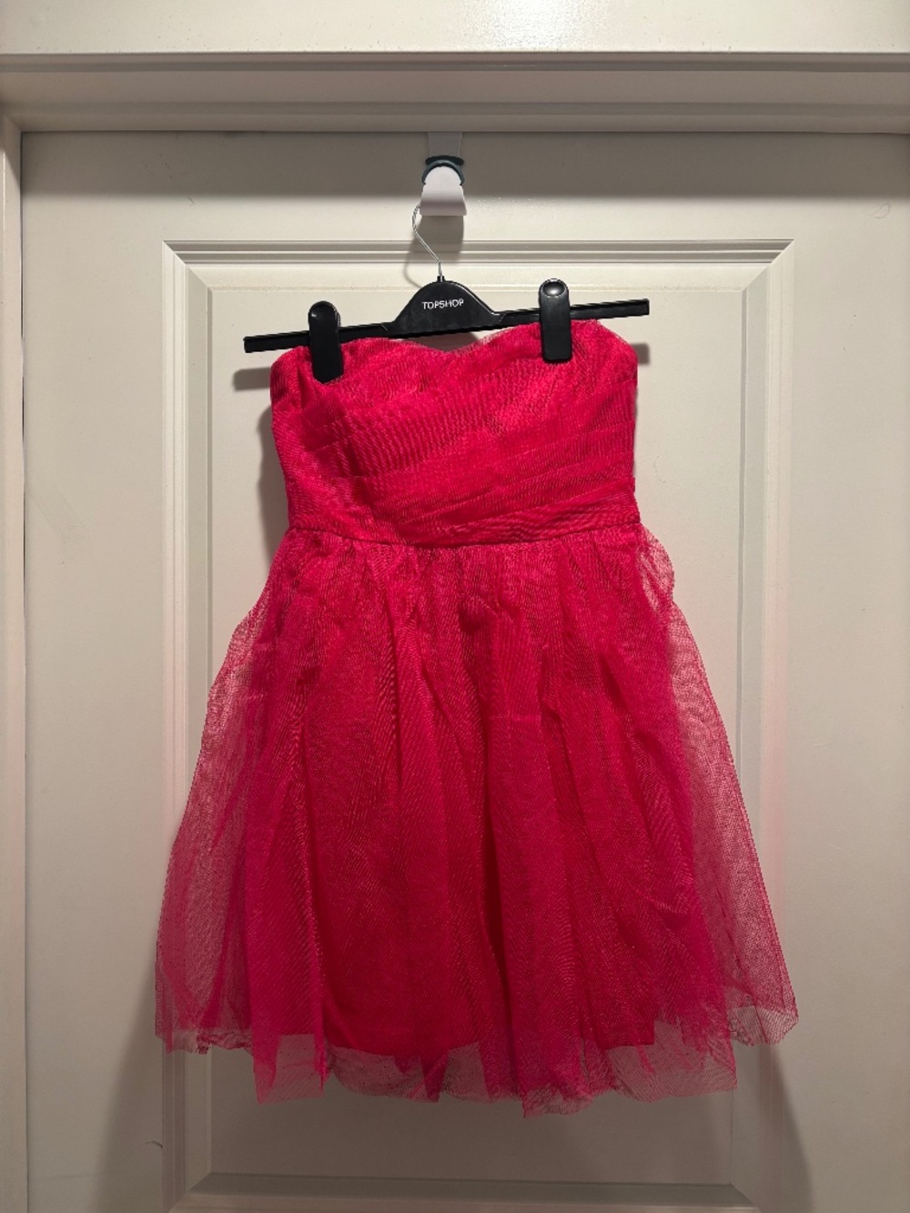 Tina Tulle Mini Dress- Never worn but missing tag.